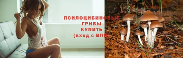 прущие грибы Алексеевка