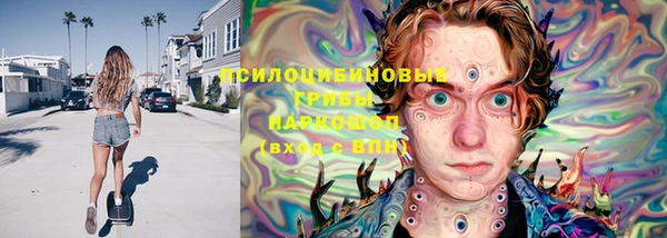 молекула духа Алзамай