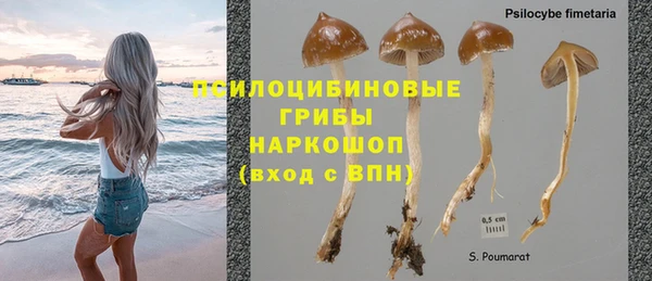 молекула духа Алзамай