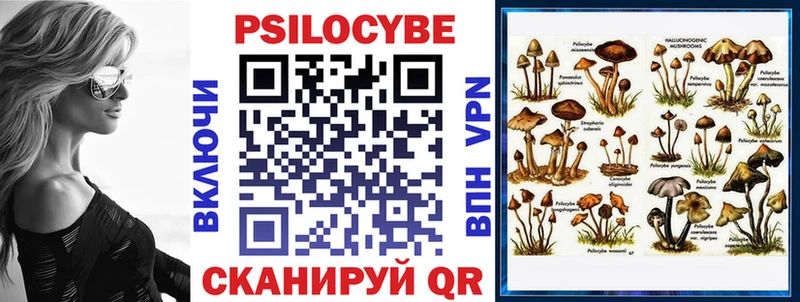 где купить наркоту  Крымск  Псилоцибиновые грибы ЛСД 