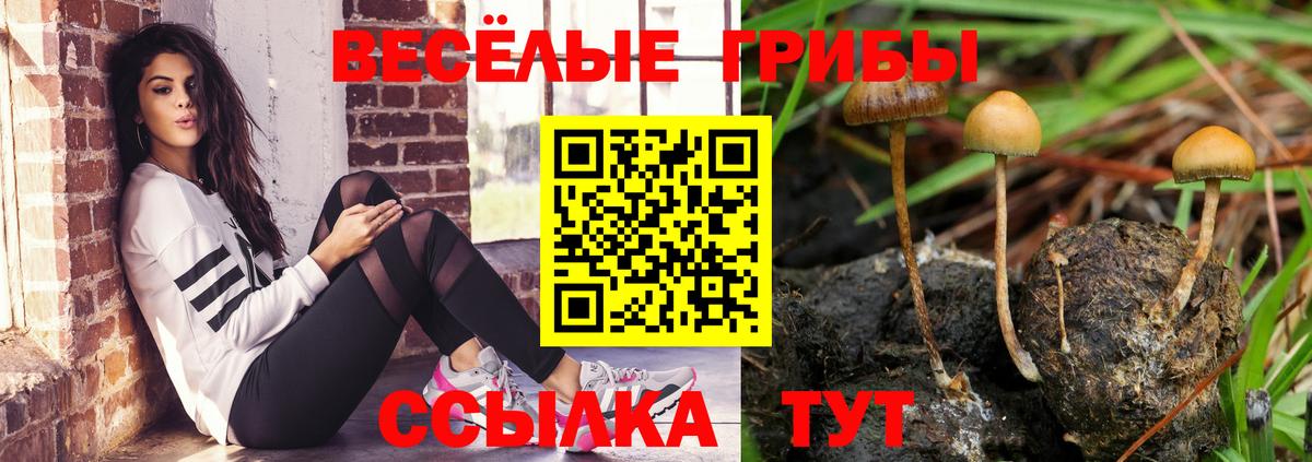 Крымск  Галлюциногенные грибы MAGIC MUSHROOMS  Вход с VPN 